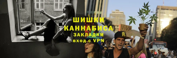 стаф Нефтекумск