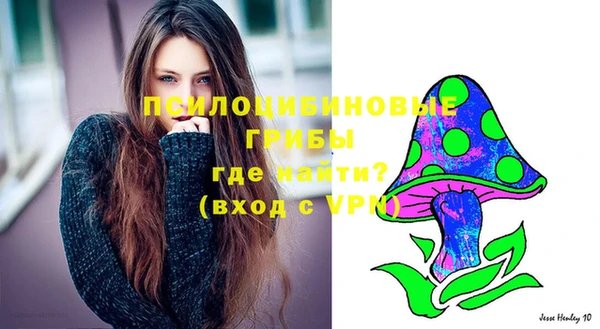 амф Нефтегорск