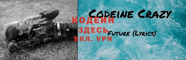дживик Нея