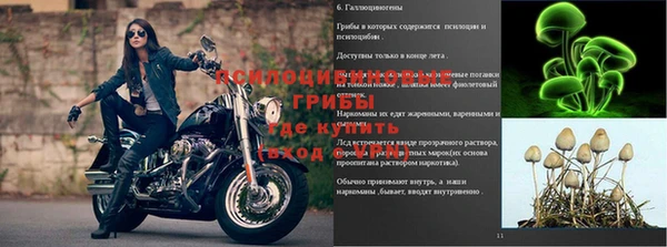 стаф Нефтекумск