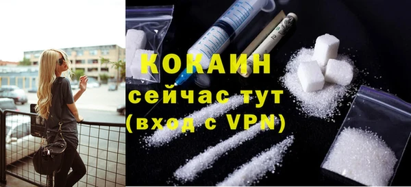 дживик Нея