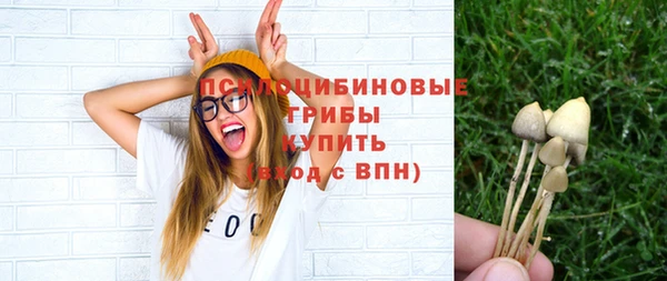 дживик Нея