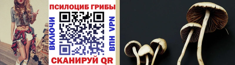 Галлюциногенные грибы GOLDEN TEACHER Саров